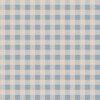 Check minimini blue cream