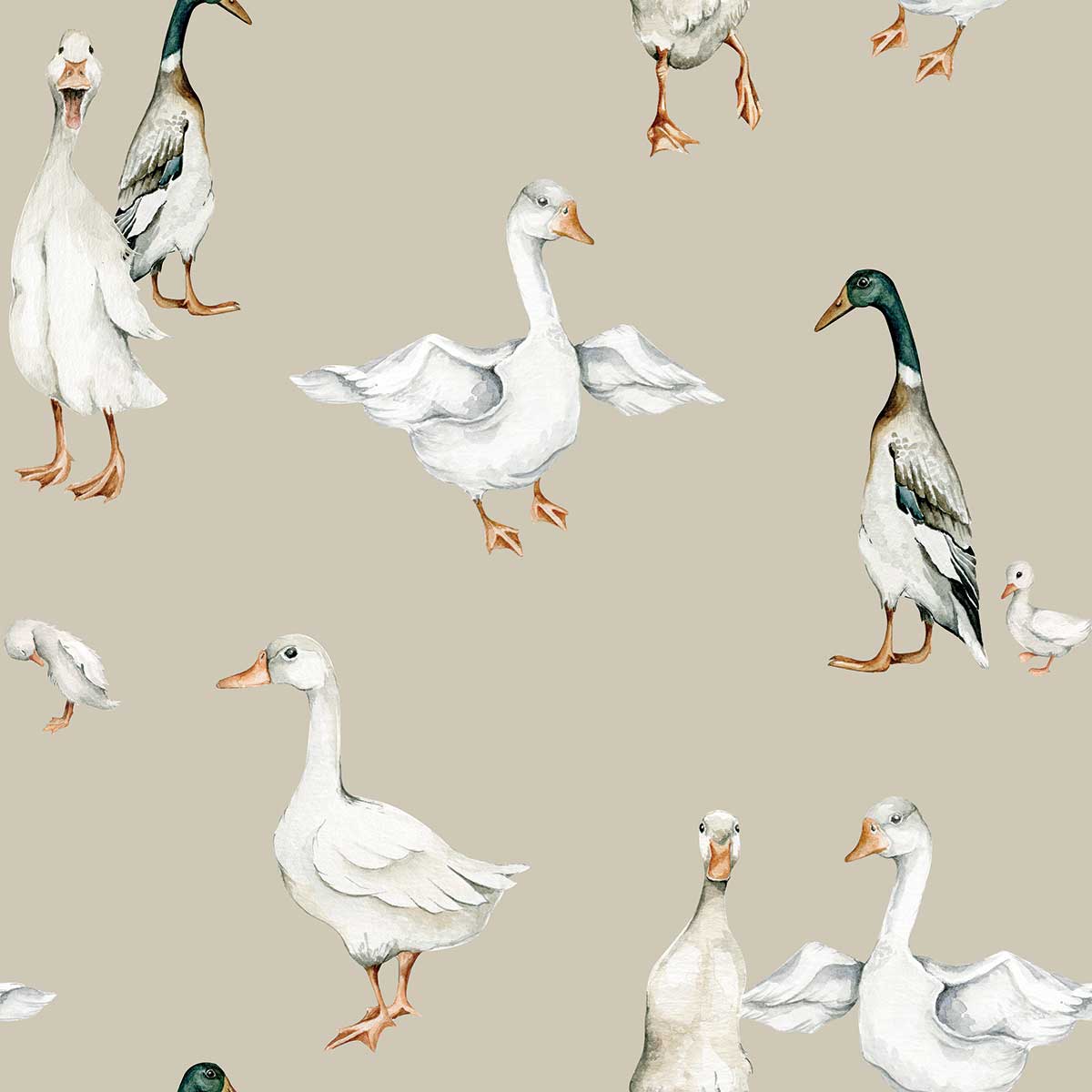 White Ducks Tapeta Próbka