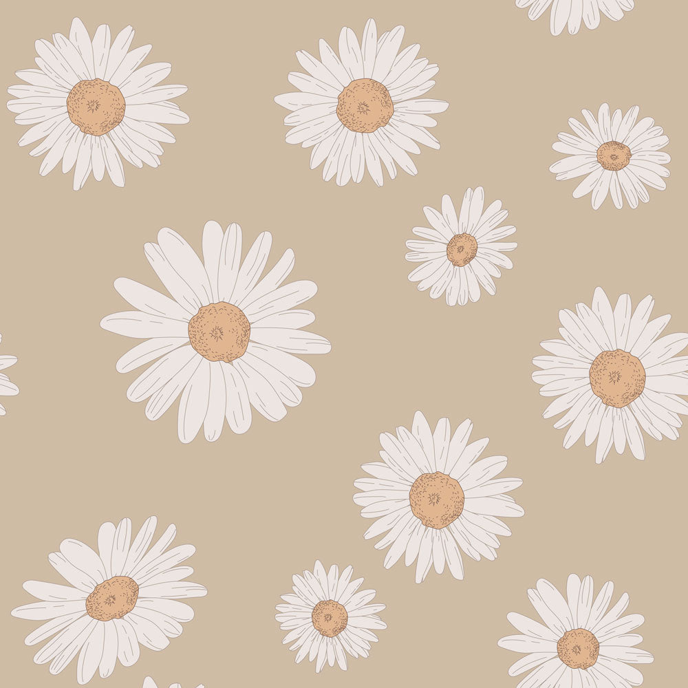 Tuscan Daisies Cappucino Wallpaper